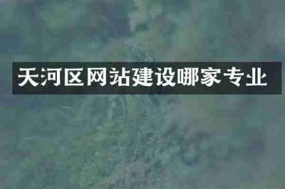 天河区网站建设哪家专业