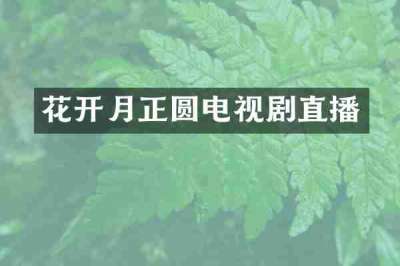 花开月正圆电视剧直播