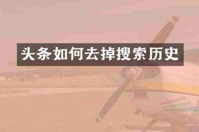 头条如何去掉搜索历史