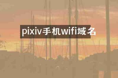 pixiv手机wifi域名