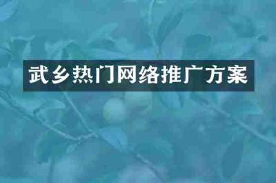 武乡热门网络推广方案