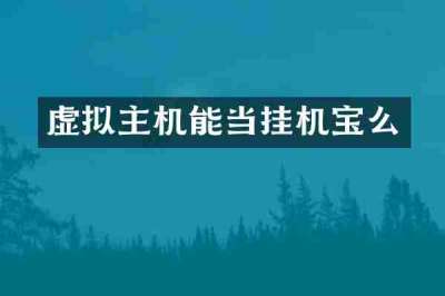 虚拟主机能当挂机宝么