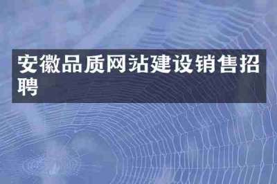 安徽品质网站建设销售招聘