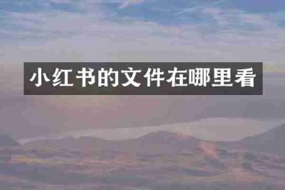 小红书的文件在哪里看