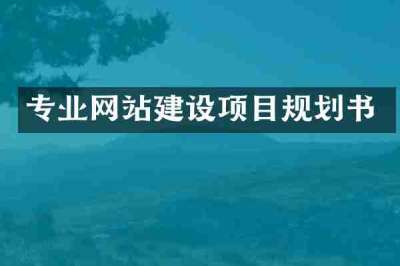 专业网站建设项目规划书