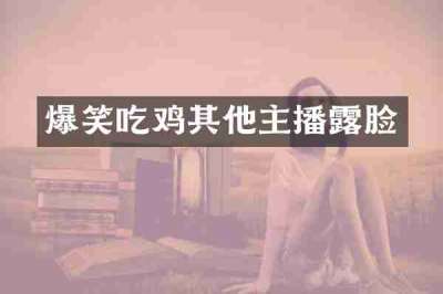 爆笑吃鸡其他主播露脸