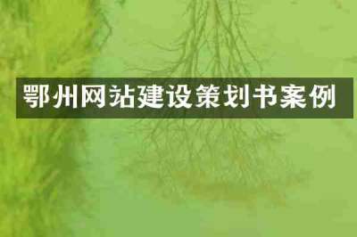 鄂州网站建设策划书案例