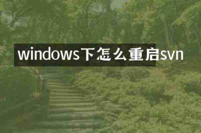 windows下怎么重启svn