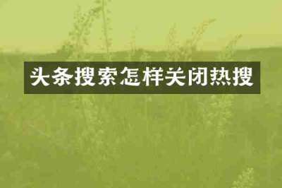 头条搜索怎样关闭热搜
