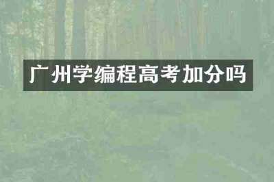 广州学编程高考加分吗