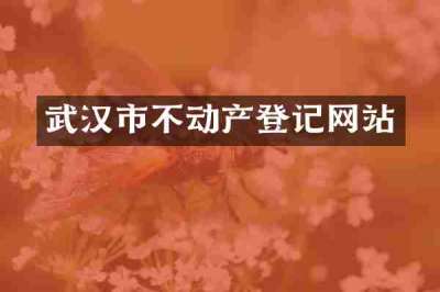 武汉市不动产登记网站