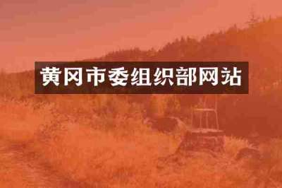 黄冈市委组织部网站