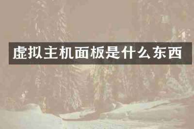 虚拟主机面板是什么东西
