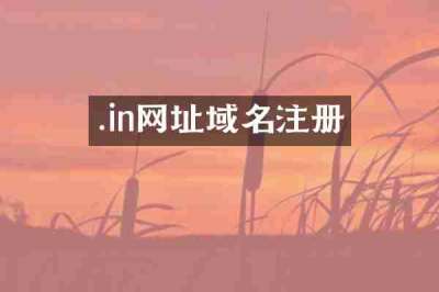 .in网址域名注册