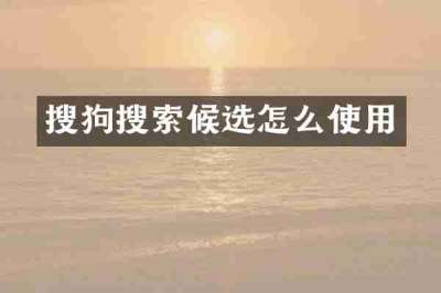 搜狗搜索候选怎么使用