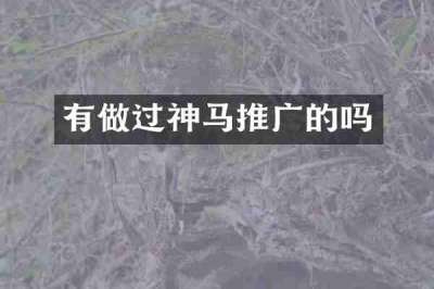 有做过神马推广的吗