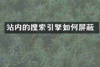 站内的搜索引擎如何屏蔽
