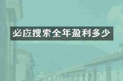 必应搜索全年盈利多少