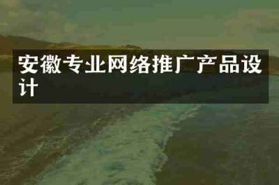 安徽专业网络推广产品设计
