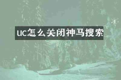 uc怎么关闭神马搜索