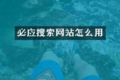 必应搜索网站怎么用