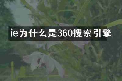 ie为什么是360搜索引擎