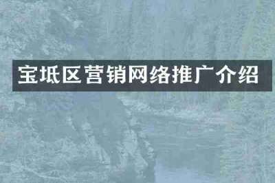宝坻区营销网络推广介绍