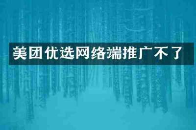 美团优选网络端推广不了
