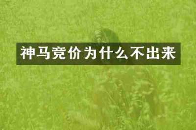 神马竞价为什么不出来