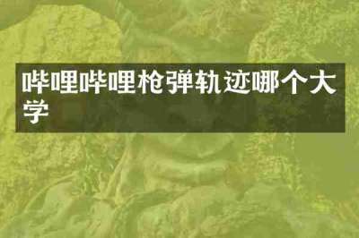 哔哩哔哩枪弹轨迹哪个大学