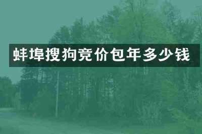 蚌埠搜狗竞价包年多少钱