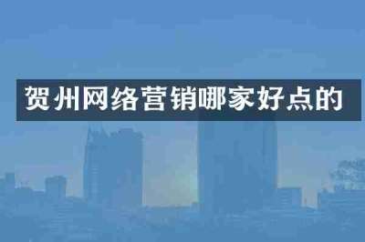 贺州网络营销哪家好点的