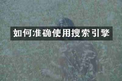 如何准确使用搜索引擎