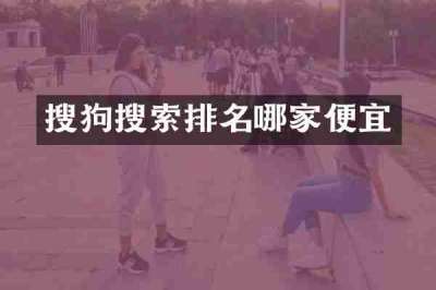 搜狗搜索排名哪家便宜