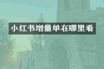 小红书增量单在哪里看