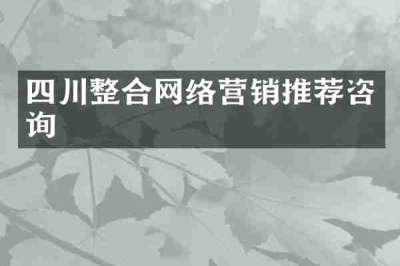 四川整合网络营销推荐咨询
