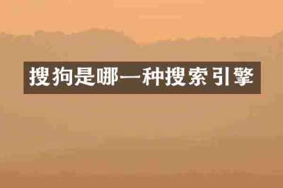 搜狗是哪一种搜索引擎