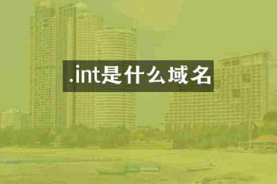 .int是什么域名