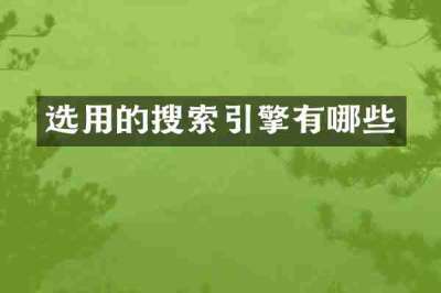 选用的搜索引擎有哪些