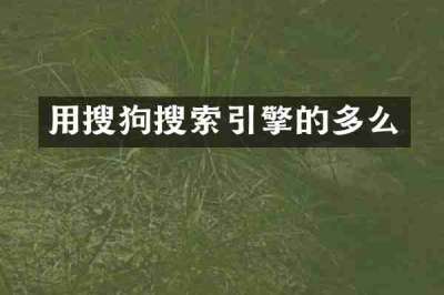 用搜狗搜索引擎的多么