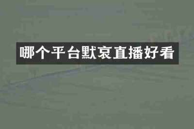 哪个平台默哀直播好看