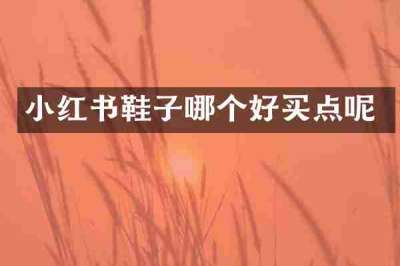 小红书鞋子哪个好买点呢