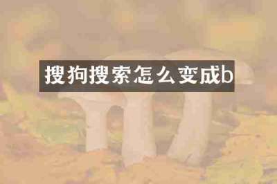搜狗搜索怎么变成b