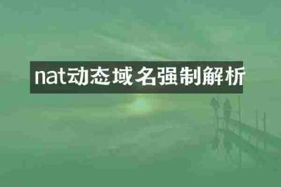 nat动态域名强制解析