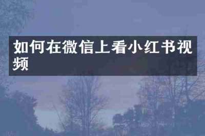 如何在微信上看小红书视频