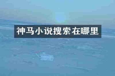 神马小说搜索在哪里