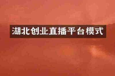 湖北创业直播平台模式