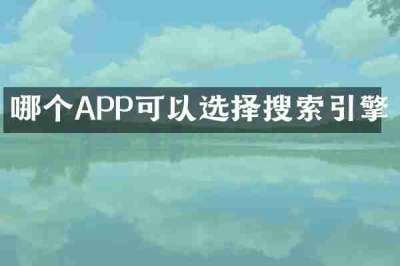 哪个APP可以选择搜索引擎