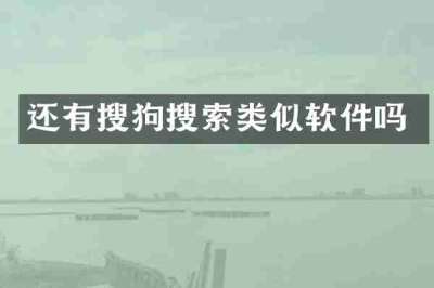 还有搜狗搜索类似软件吗