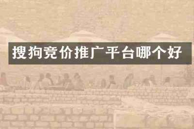 搜狗竞价推广平台哪个好
